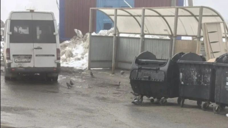 ����� ���� ������ �� �������� ����������� � ����-���������� ��������� ���������������� ���������