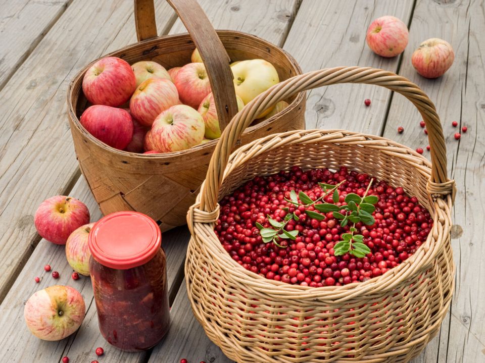 ������������ ��������� �������