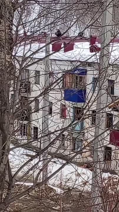 ���� ��������� �� ����� ���������� ���������� � ��������� ������