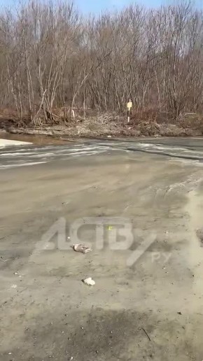 ��������, ������: ����� ���� ������ ������� �������� ������