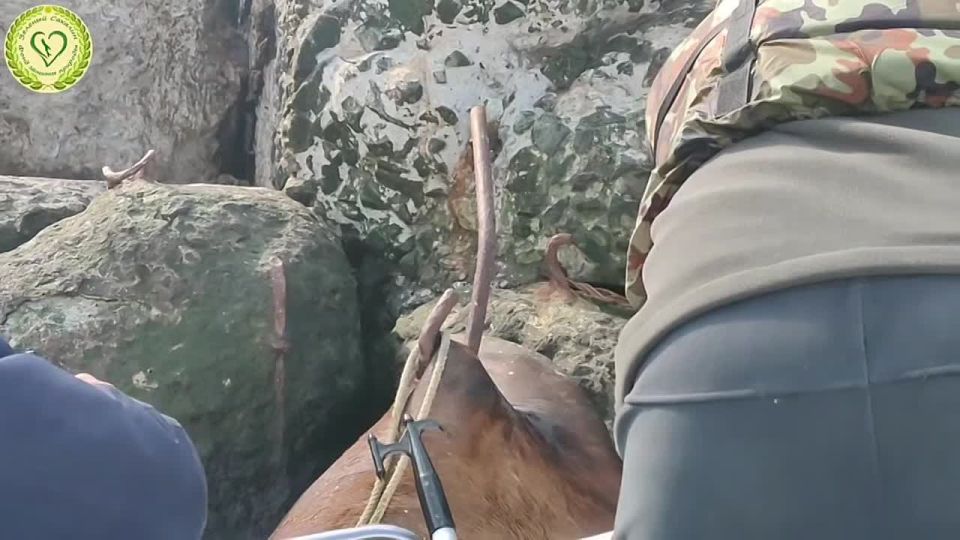 ����������� ������ ��������� � ������� ��������