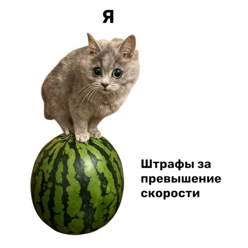 ����� �� ��������� ������ �� ��������� ���?