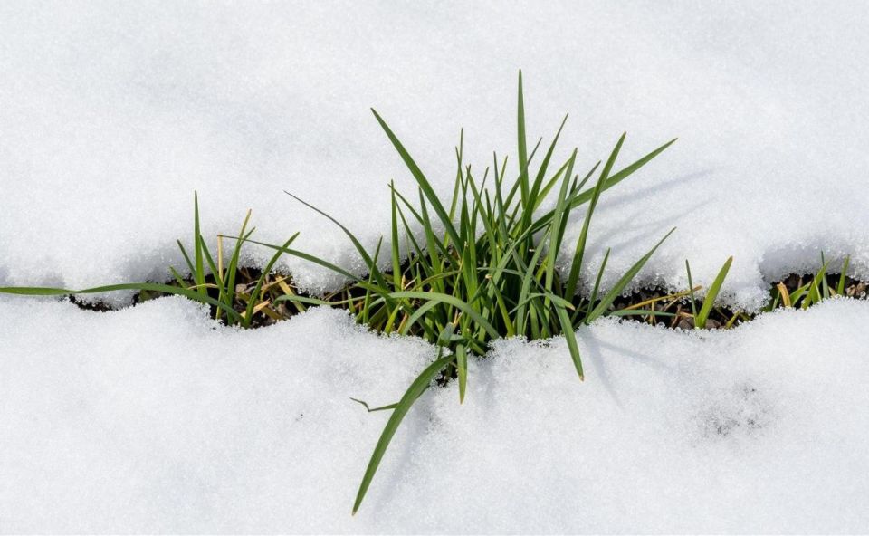 "��������� � ������": ������ �������� ������ �� �������� � �������