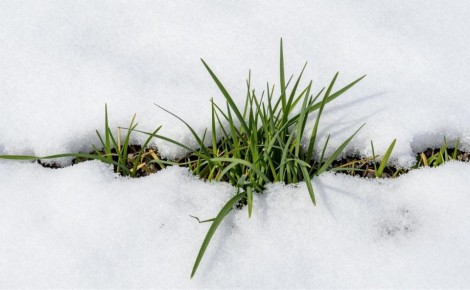 "��������� � ������": ������ �������� ������ �� �������� � �������