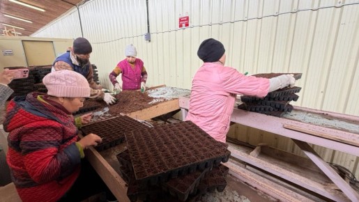 � ����������� ������� ���������� ����� ��������