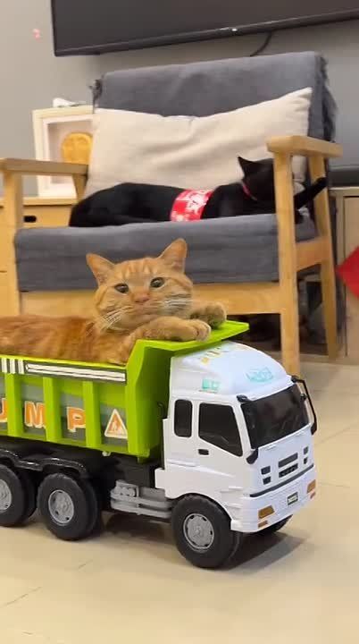 ������ ����!. ������� � ���� �������� ���� �������� ���������� ��������