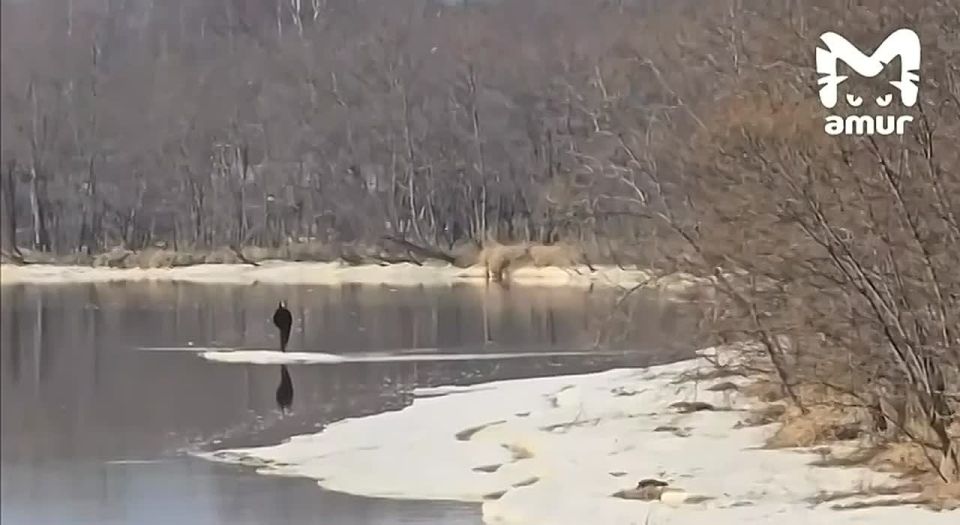 ��������� ������ �� ������ �� ���� �� ��������