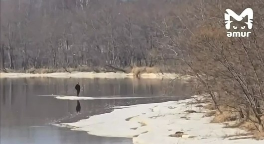 ��������� ������ �� ������ �� ���� �� ��������