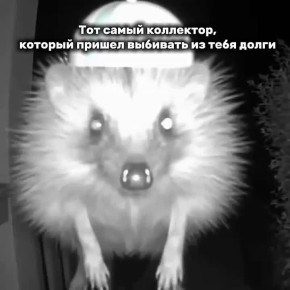 Прощаем?. Недавно в Госдуме предложили запретить микрофинансовые организации (МФО) и провести амнистию по безнадежным долгам