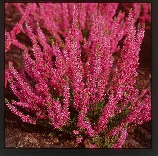 ������: ������� ������ ������ ����, � ������� ����� ����� ������