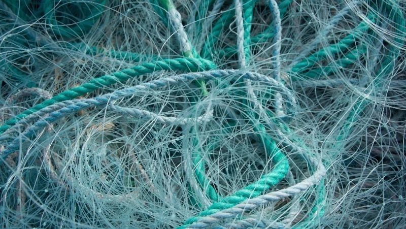 ����� ������� �������� ����� �������� ���������� � ��������� �������� � ��������