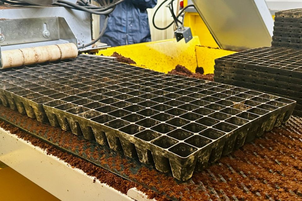 �� �������� ���������� ����� �������� � �������� �� ���� �� �����