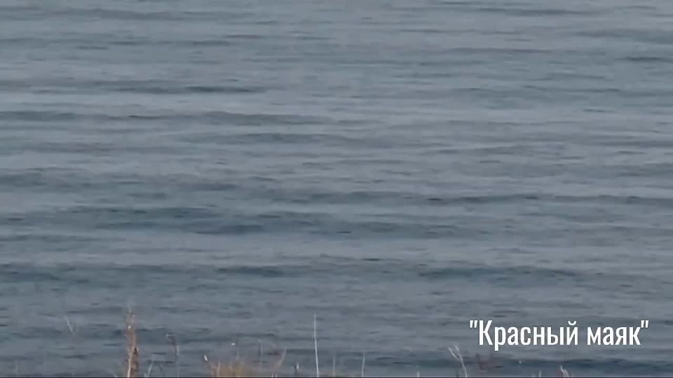 ������� �������� ����� �������� ���������