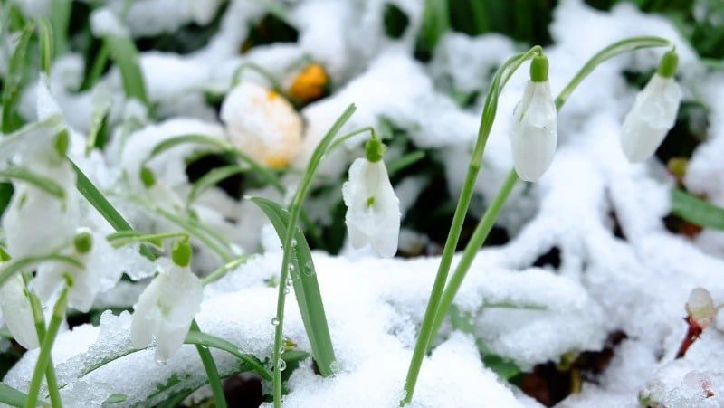 �� +4 � ��� �������: ������� ������ � ����-���������� �� 6 ������