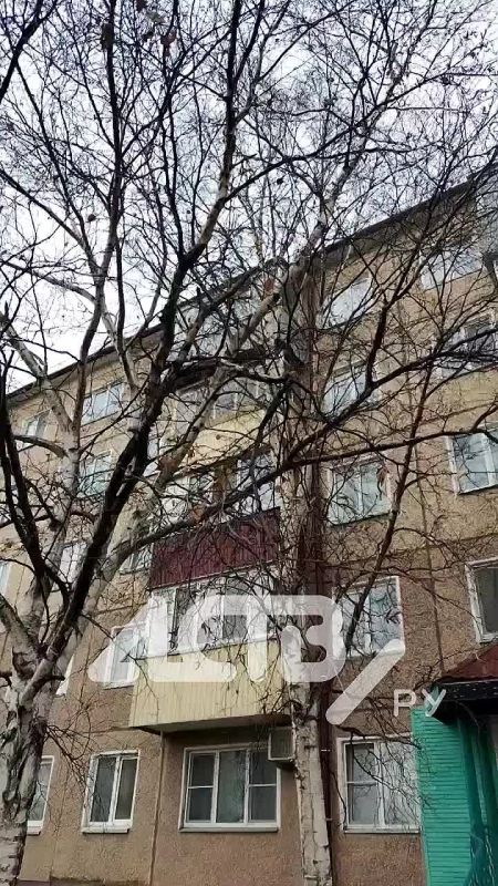 � ����-���������� �������� ������ �������� ����� �� �������