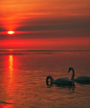 ��������. ������. �����