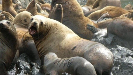 �������� ��������: ������ ��� �� ������� �� ��� ����� ������ ������� ��� ������