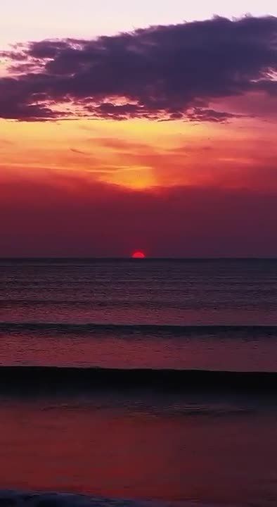 ������ ����!. ������� ������������� ���� ������ � ���� ���� �������� ��������� ������� ����� (1483 �1520), ���� ������� ������������� (1836 � 1904), �������� ����� ��������� (1956) � �����, ������ ������ ���������...