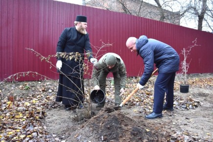 В Железнодорожном районе создают зеленый оазис около храма