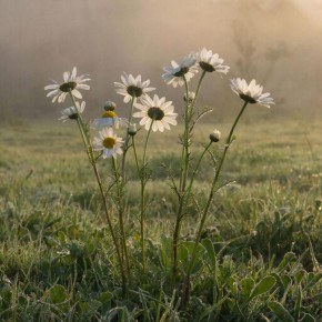 ��� �������� �������� ������� �� � ���������