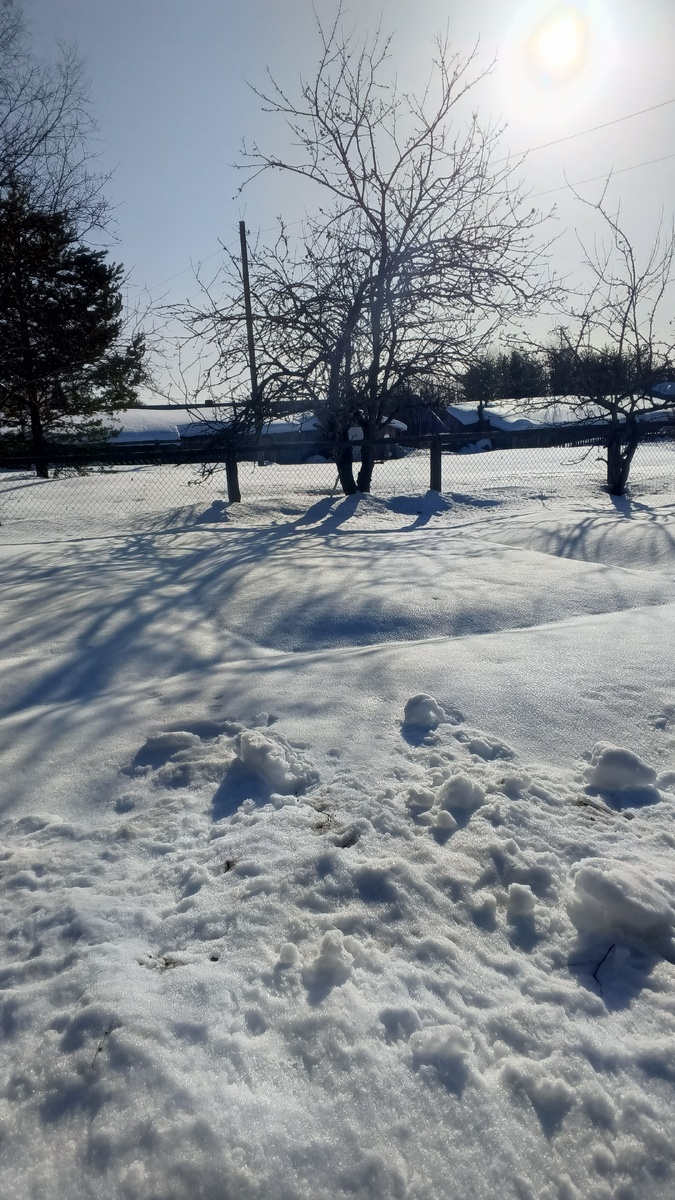 Возвращение на малую родину: как встречают весну в сердце Карелии