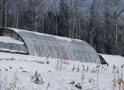 ������ �� ����� ��������� ������� ������: ����������� ����������� ��� ����������