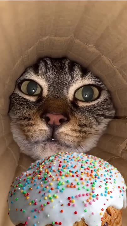 �������� �������?. �� ������������ ����� �������� ����� ������