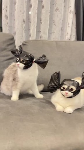 Доброе утро, Сахалин и Курилы