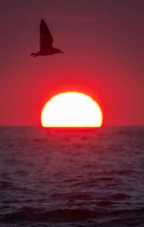 ����������� ������ � ������ ���� ��� ���������� ��������