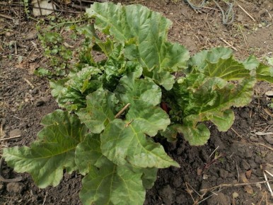 ��� ��������� ������: ������� �������� ������