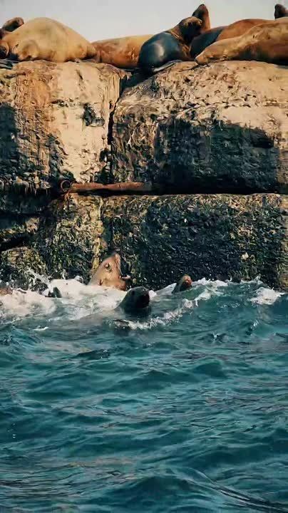 �������, ��������. � �������� �����, ���������� ��������� �������� � ������� ������� ������������� � �������