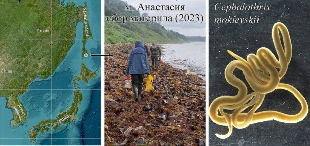 � ������� �������� ���������� �������� ������ �� ����� ������� ���� � ����