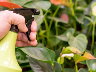 ��� ������ ����� �� ���������� �����: ������� ������ ��� �������� ����� ��������