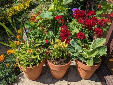 ������� ������������� ����: �� ���������� �� ����������������� ��������