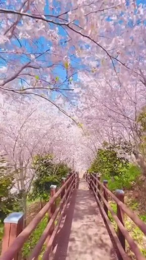 Доброе утро!. Сегодня день российской анимации В этот день родились актриса Наталия Богунова (1948 — 2013), музыкант Виктор Зинчук (1958), фигуристка, олимпийская чемпионка Оксана Казакова (1975), лыжник, двукратный чемпион...