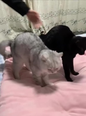 Доброе утро, Сахалин и Курилы