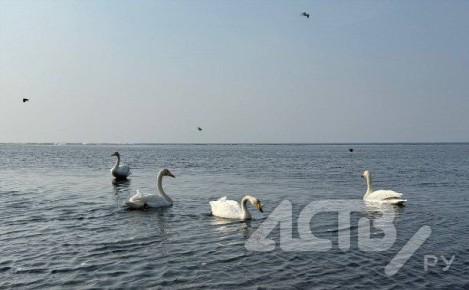 Тепло возвращается: воздух в Южно-Сахалинске прогреется до +8 градусов