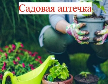 Как собрать идеальную аптечку для сада: секреты защиты растений