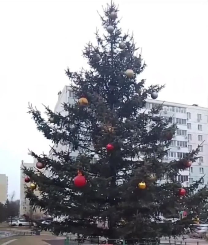 Жители Хабаровска ещё не сдались а вы? — в одном из дворов Рабочего городка новогоднюю ёлку ещё не убрали