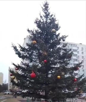 Жители Хабаровска ещё не сдались а вы? — в одном из дворов Рабочего городка новогоднюю ёлку ещё не убрали