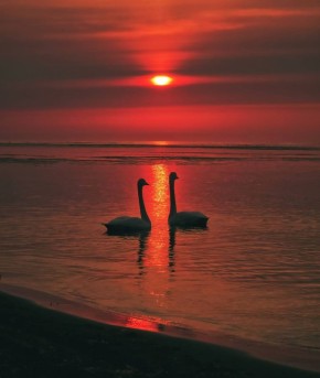 @smotri_65. Прислать новость Мы в RU | VK | OK | Inst | MAX