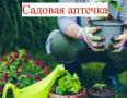 Как собрать идеальную аптечку для сада: секреты защиты растений