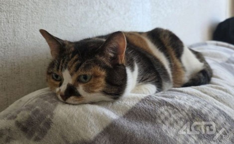 Без отопления проведут часть четверга некоторые жители Южно-Сахалинска и Лугового