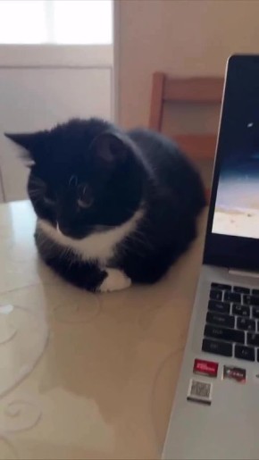 Доброе утро, Сахалин и Курилы