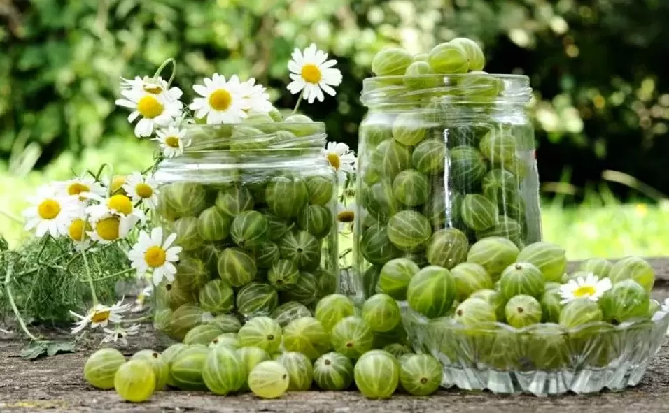 Крыжовник: удивительные рецепты, которые вдохновят на кулинарные эксперименты