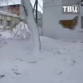 ������ ������ ��������� �� �������