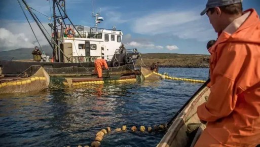 ����� � �������� �������� ����� ���������� ������ ����� � ������