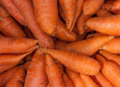 ��� ��������� ������� ������ �� ���������� ����: ���� ������ ������ ��������