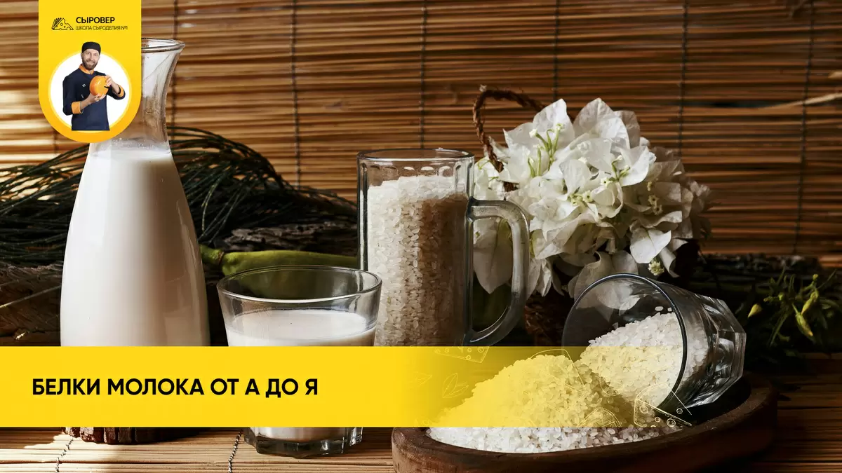 Молочные белки: что нужно знать о их пользе и источниках
