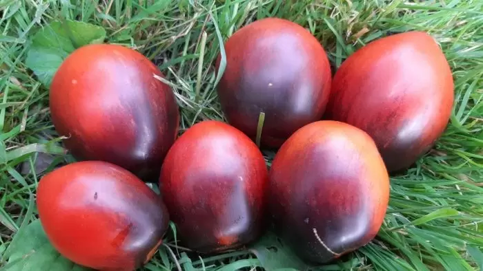 Французское чудо на грядках: томат Сержант Паскаль восхищает садоводов